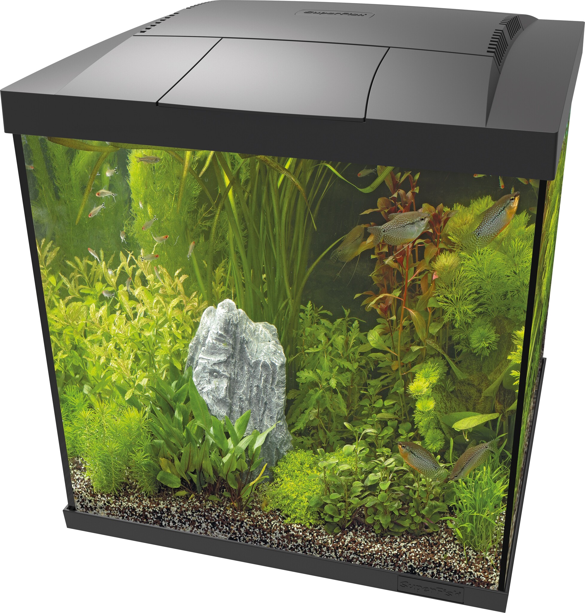 Start 60 Qube Kit Zwart