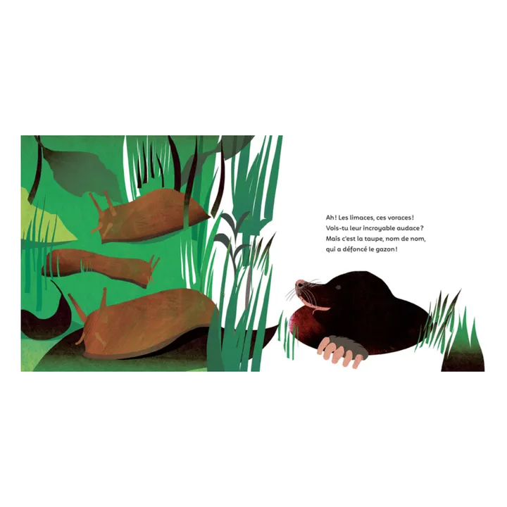 Ricochet Editions Livre Le P'tit Jardin