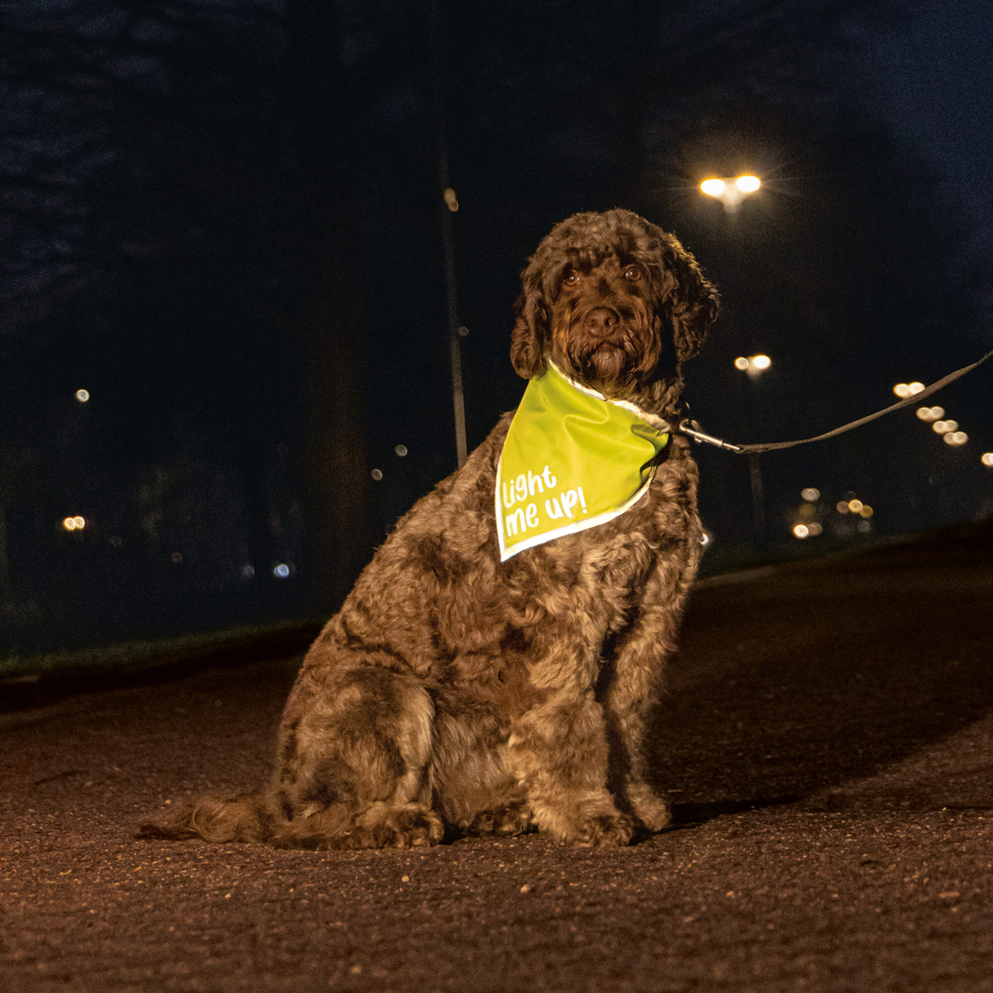 Beeztees Safety Gear Bandana Chiny