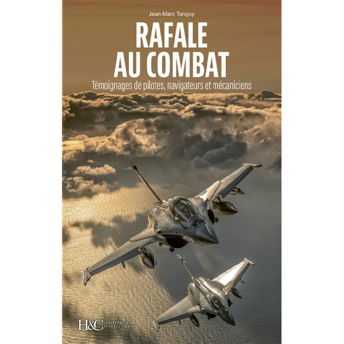 Rafale au combat : témoignages de pilotes, navigateurs et mécaniciens