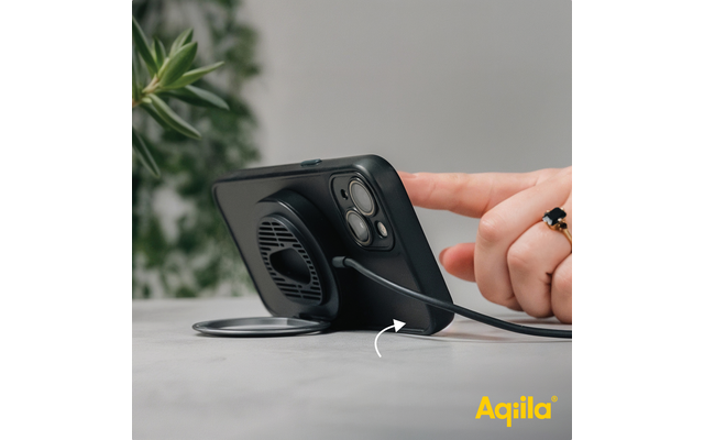 Aqiila Powerbird QC1 Drahtloses Handyladegerät und -halterung 15 W schwarz