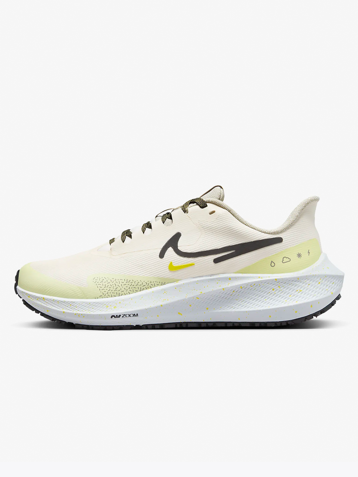 Air Zoom Pegasus 39 Shield