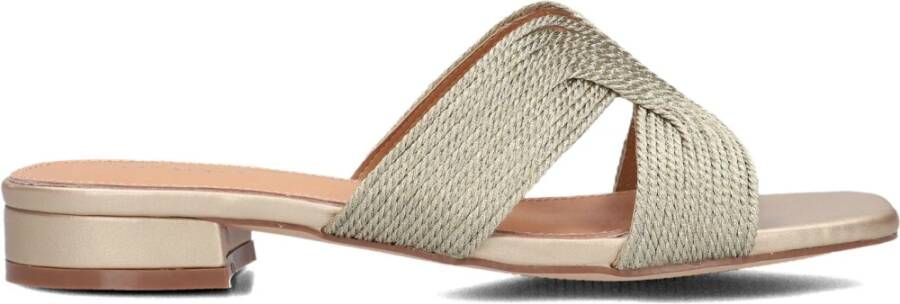 AYANA Slippers Dames 0677-1 Maat: 40 Materiaal: Raffia Kleur: Goud