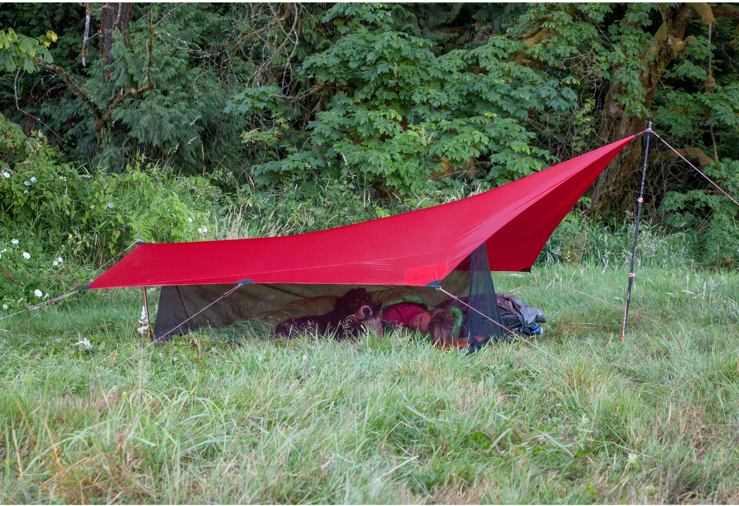 Hilleberg Tarp 5