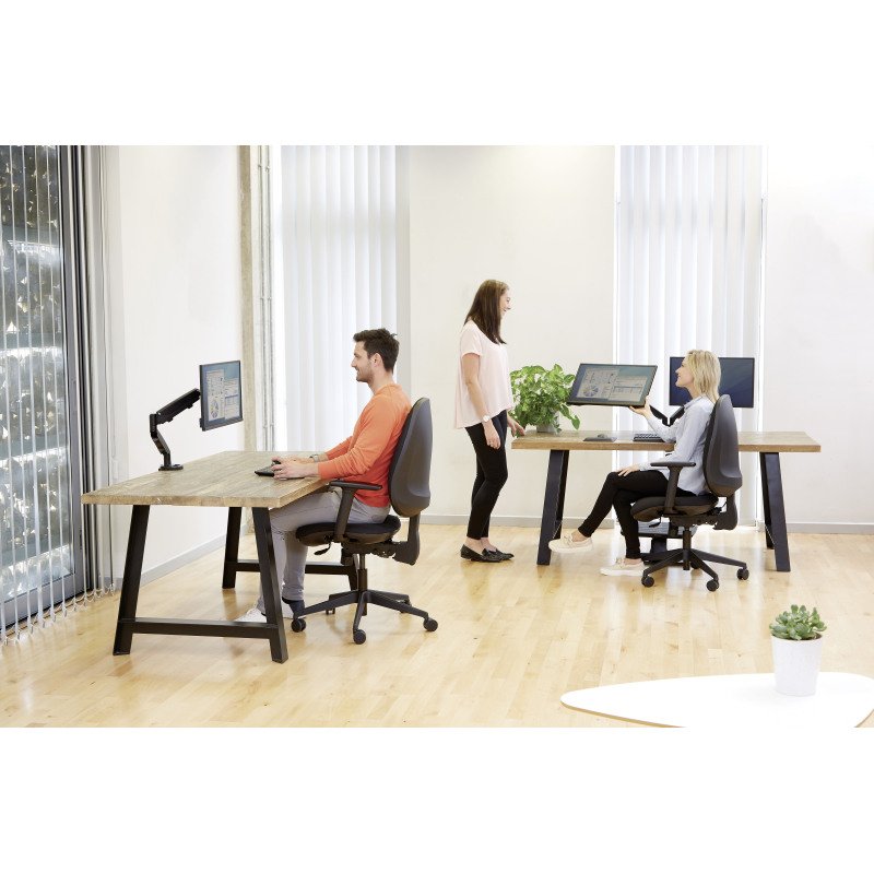 Bras support écrans double Eppa Fellowes