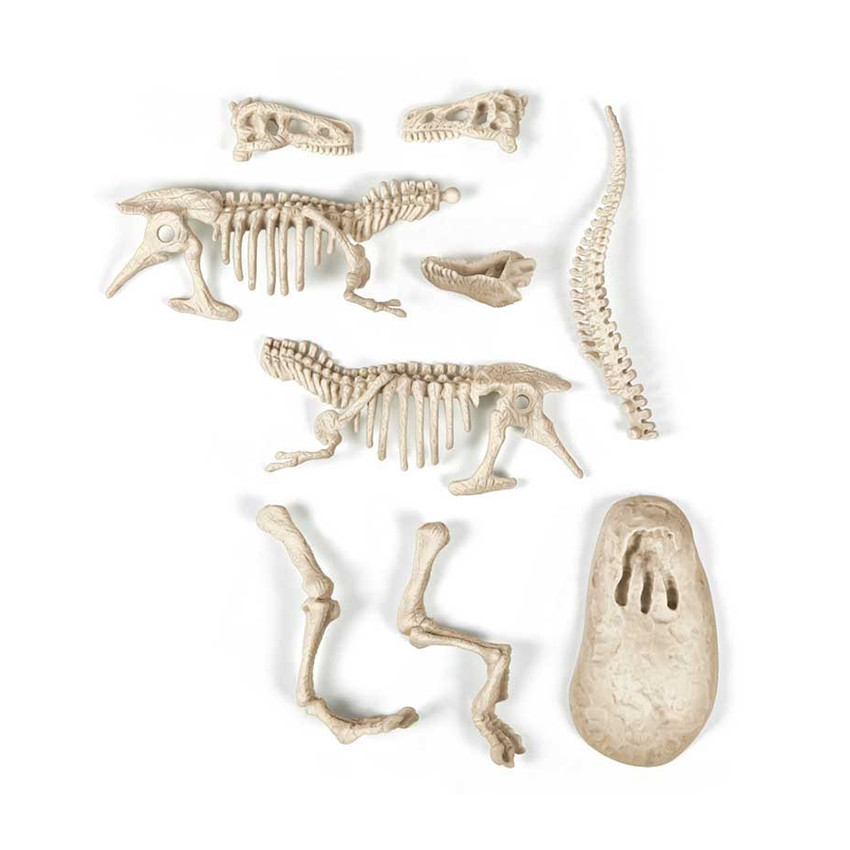 Archeo Ludic T-Rex Phosphorescent