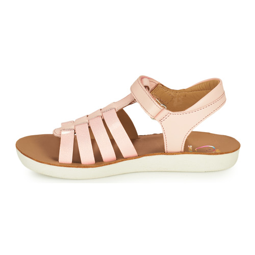 Shoo Pom - GOA SPART - Rose