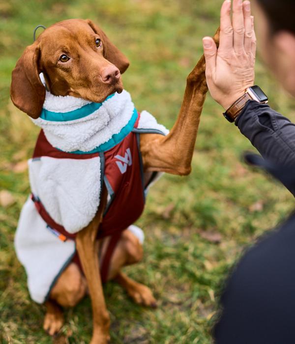 Non-stop dogwear Hunde-Fleecejacke Trekking