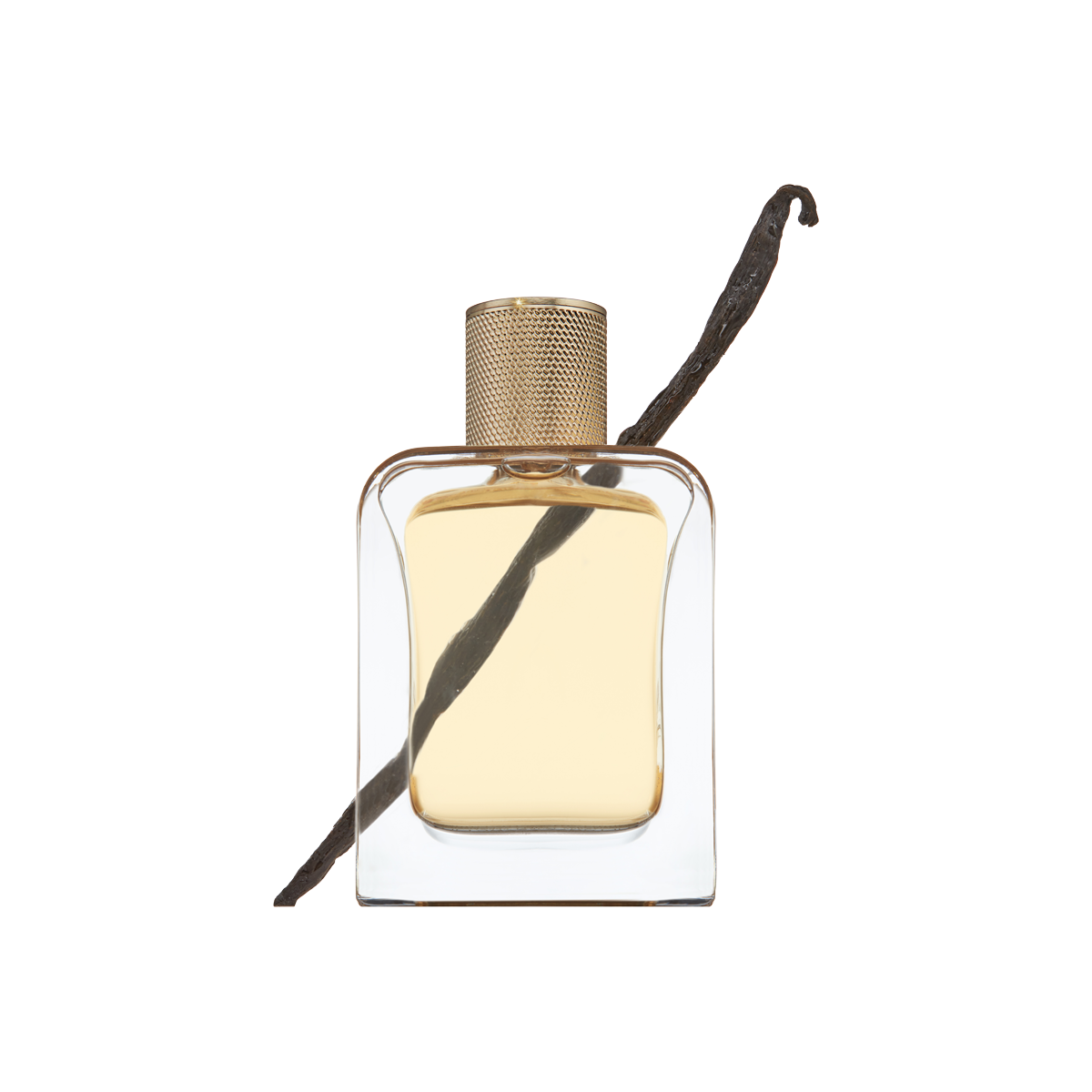 Le Point G Eau de Parfum 85ml