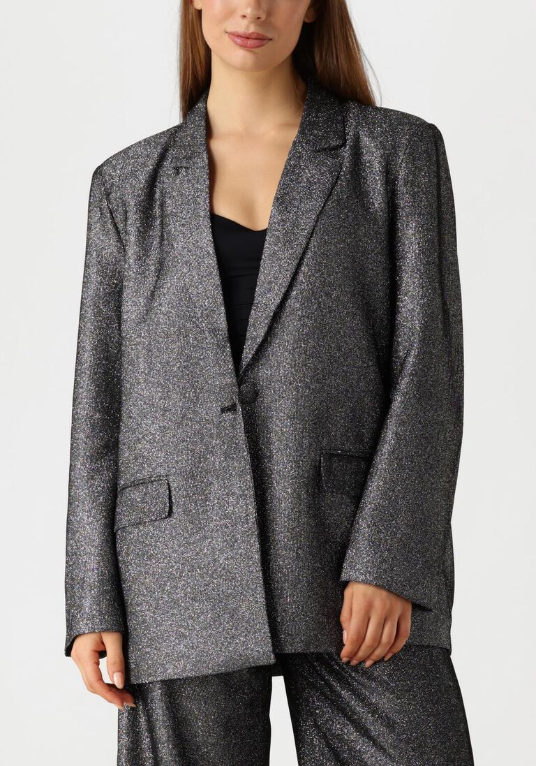 zilveren ibana blazer jolsy