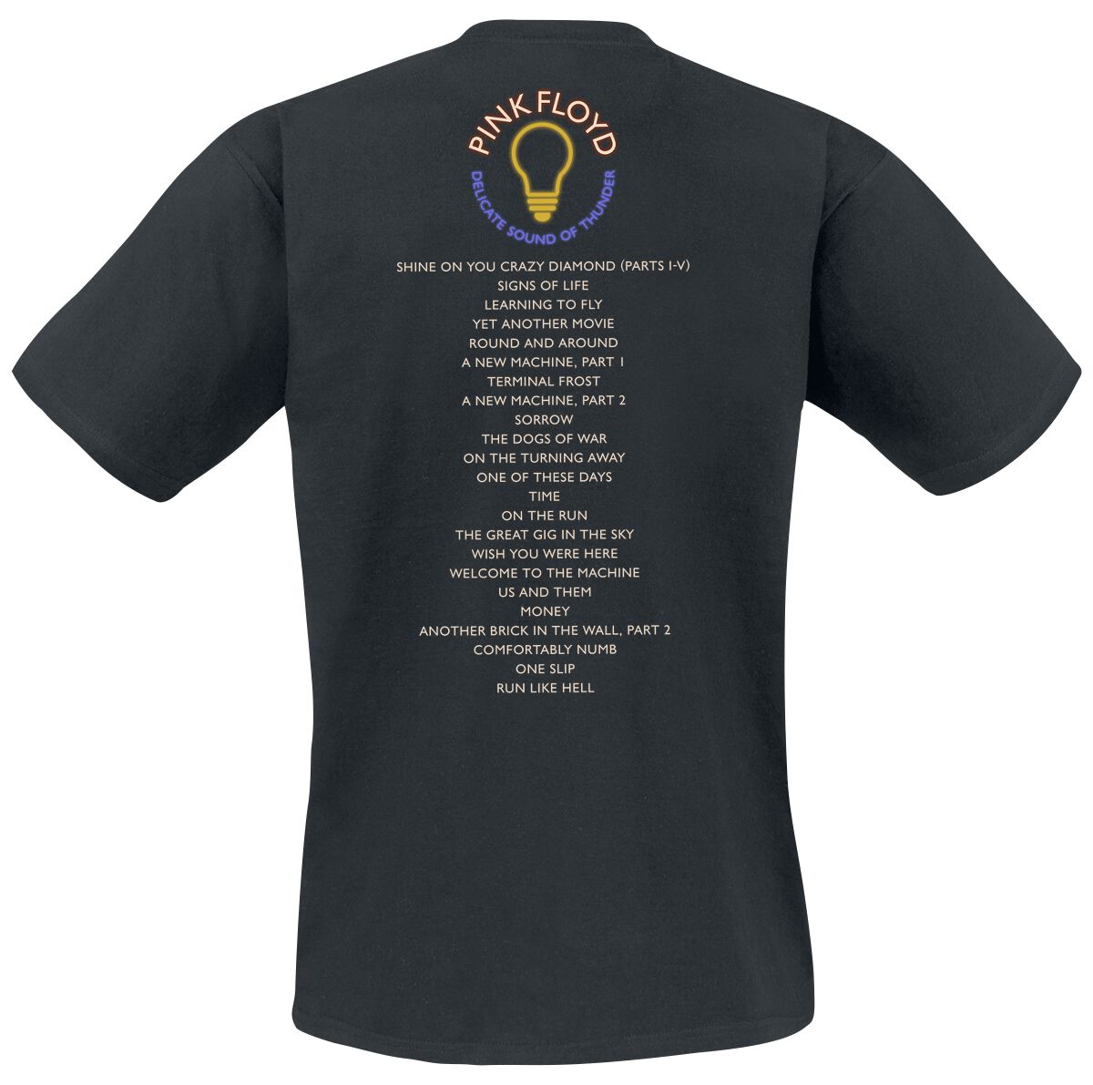 Delicate Sound Of Thunder Stage | Pink Floyd T-Shirt Manches courtes