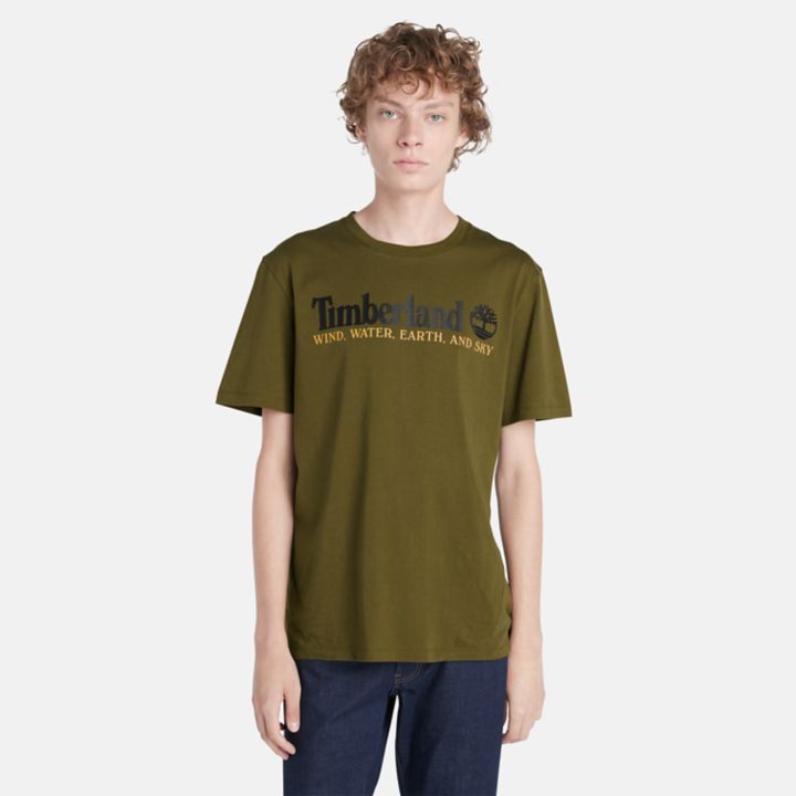 Camiseta masculina verde com estampa de vento, água, terra e céu.