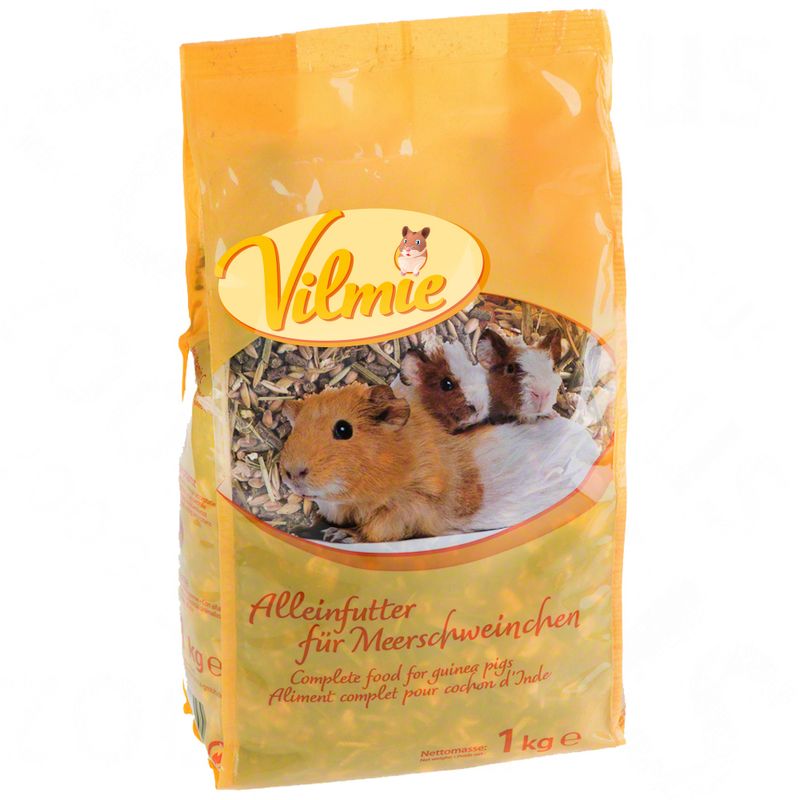 Vilmie, cochon d'Inde