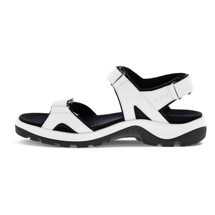 Ecco 822153 white