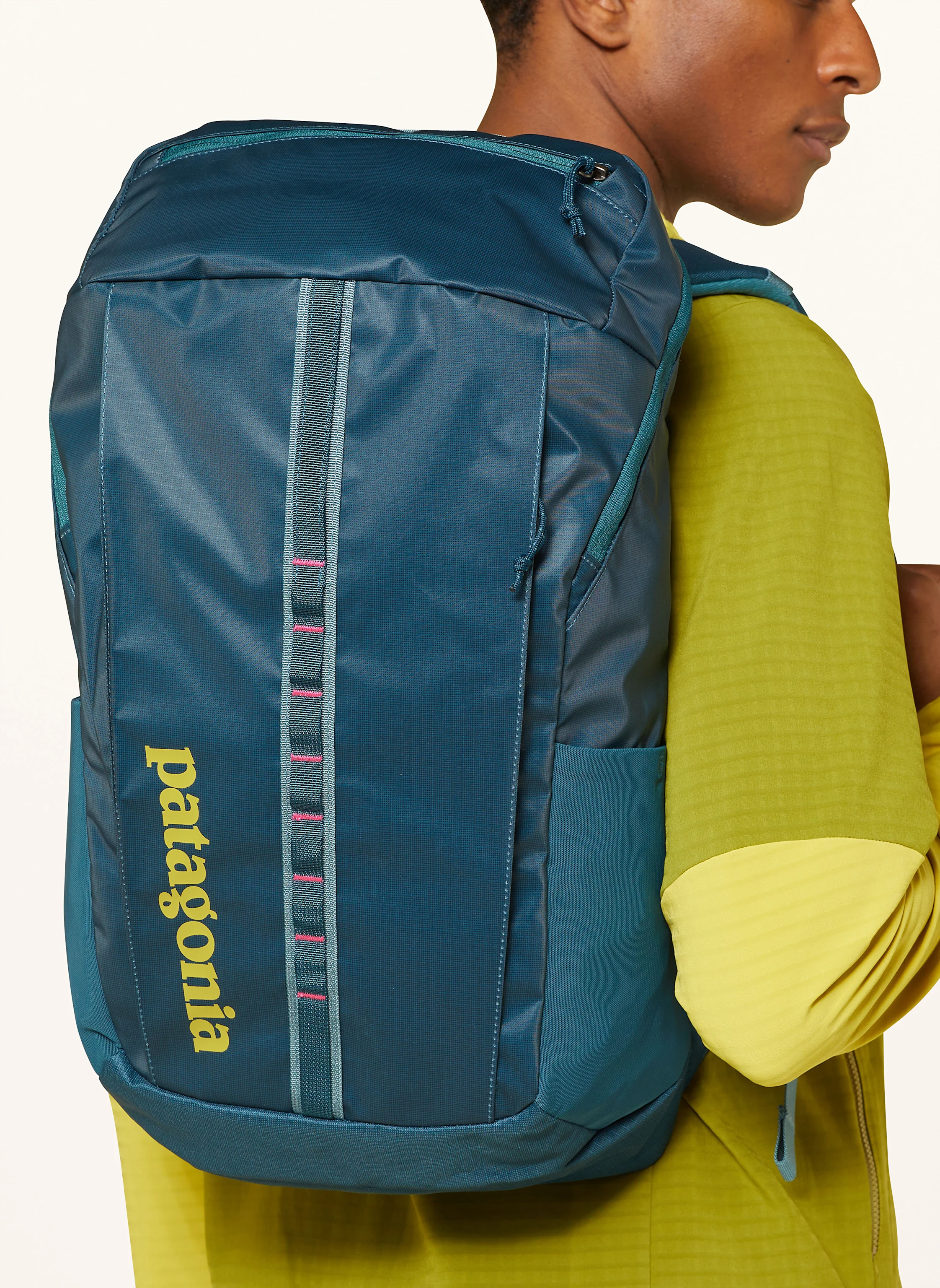 patagonia Rucksack BLACK HOLE® 25 l mit Laptop-Fach