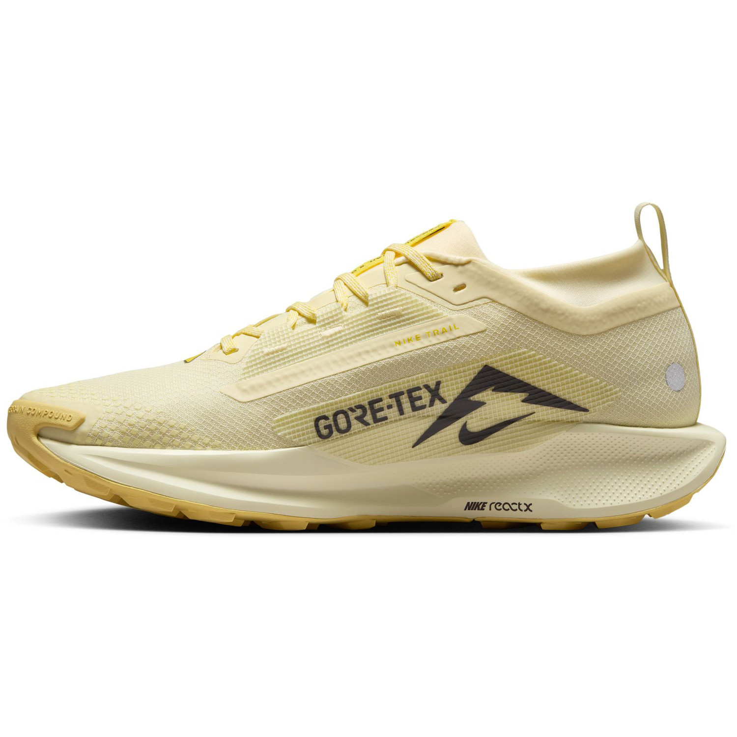 Nike Pegasus Trail 5 GTX Heren