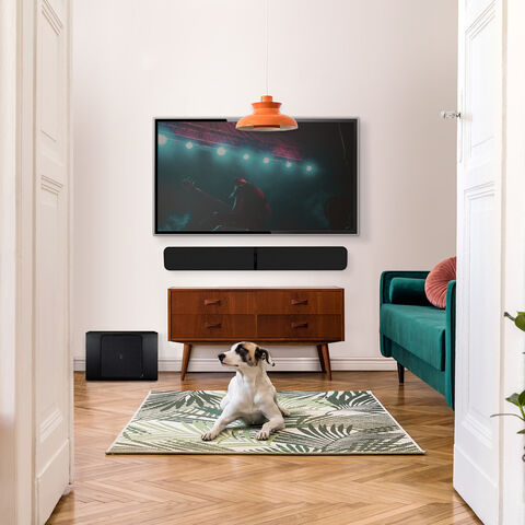 Koop Bluesound PULSE SURROUND Soundbarsysteem/bundel | 5 Jaar Garantie