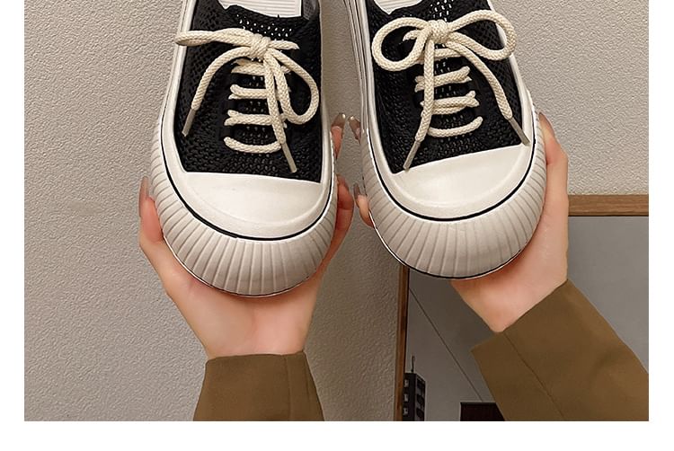 Arpeggi - Sneakermuiltjes met veters