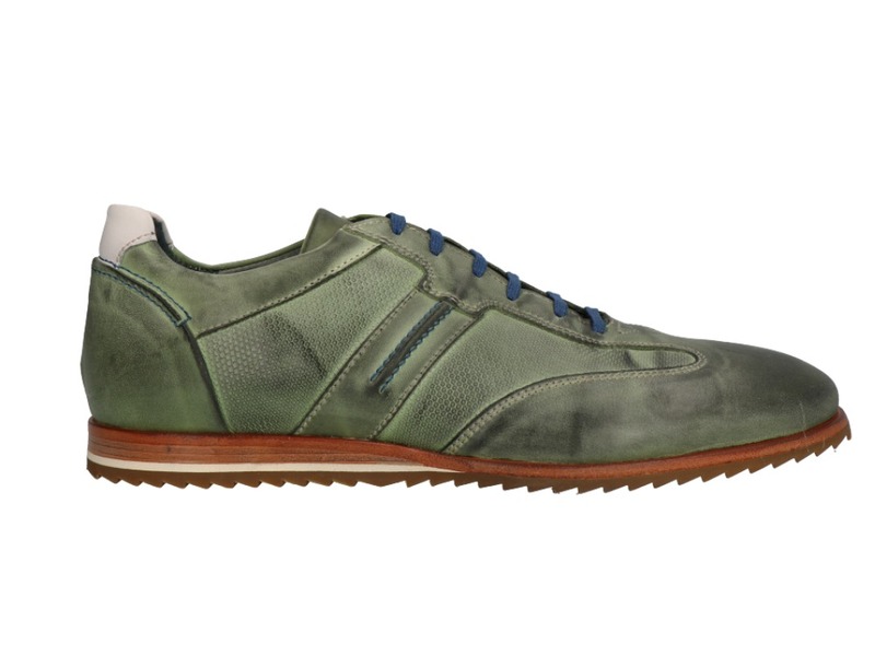 Will Lester 36305 Groen