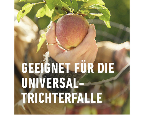 COMPO BIO Lokmiddel tegen fruitmotten, geschikt voor de COMPO Universele Trechterval, 3 stuks. Insecticidevrij.