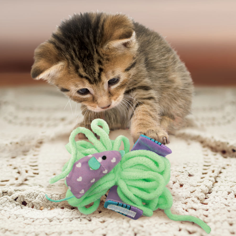 Brinquedo para gatinho Kong Pull-A-Partz Yarn 3 em 1