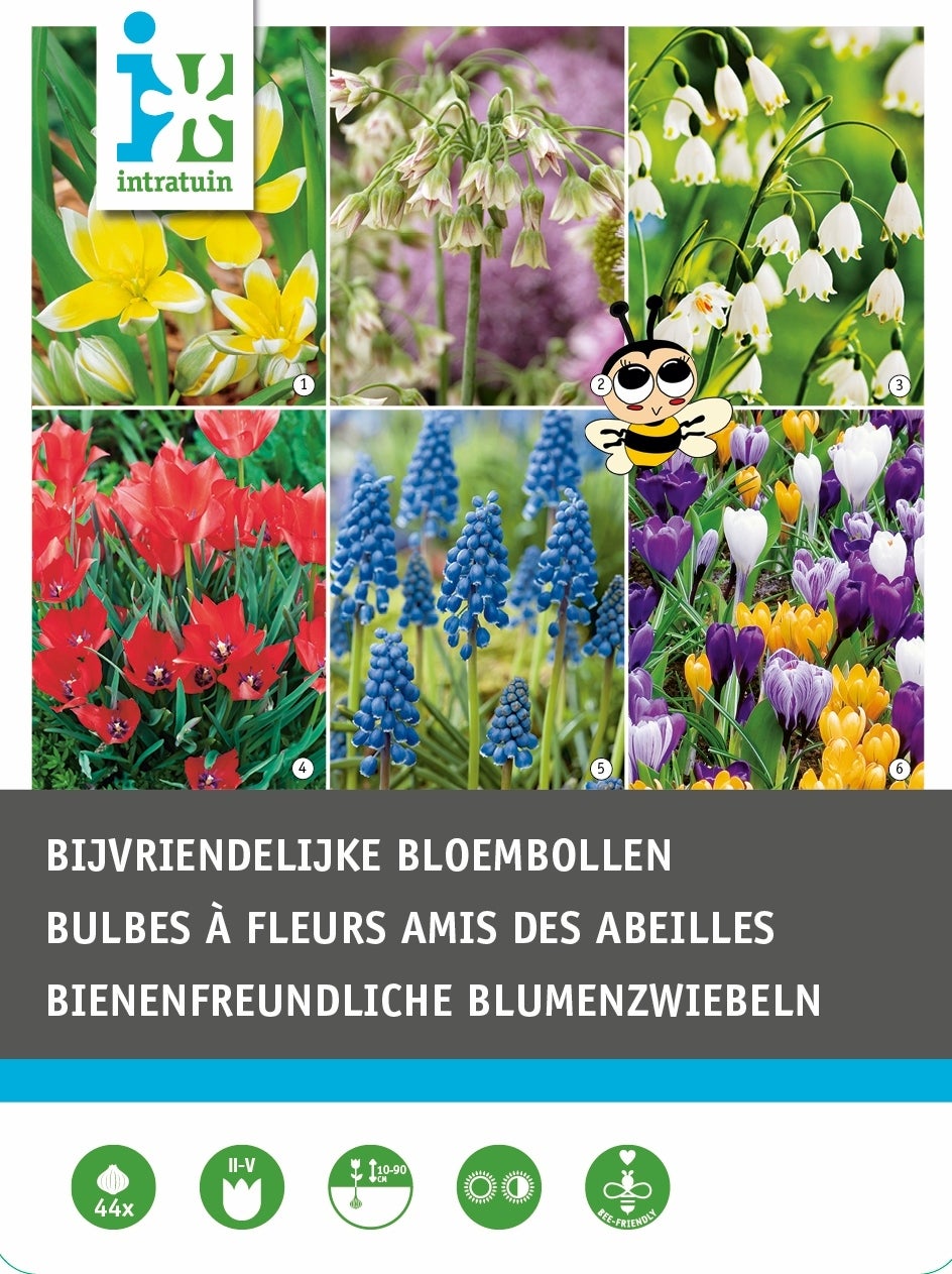 Intratuin bloembollen(bijenvriendelijk) gemengd 44 stuks