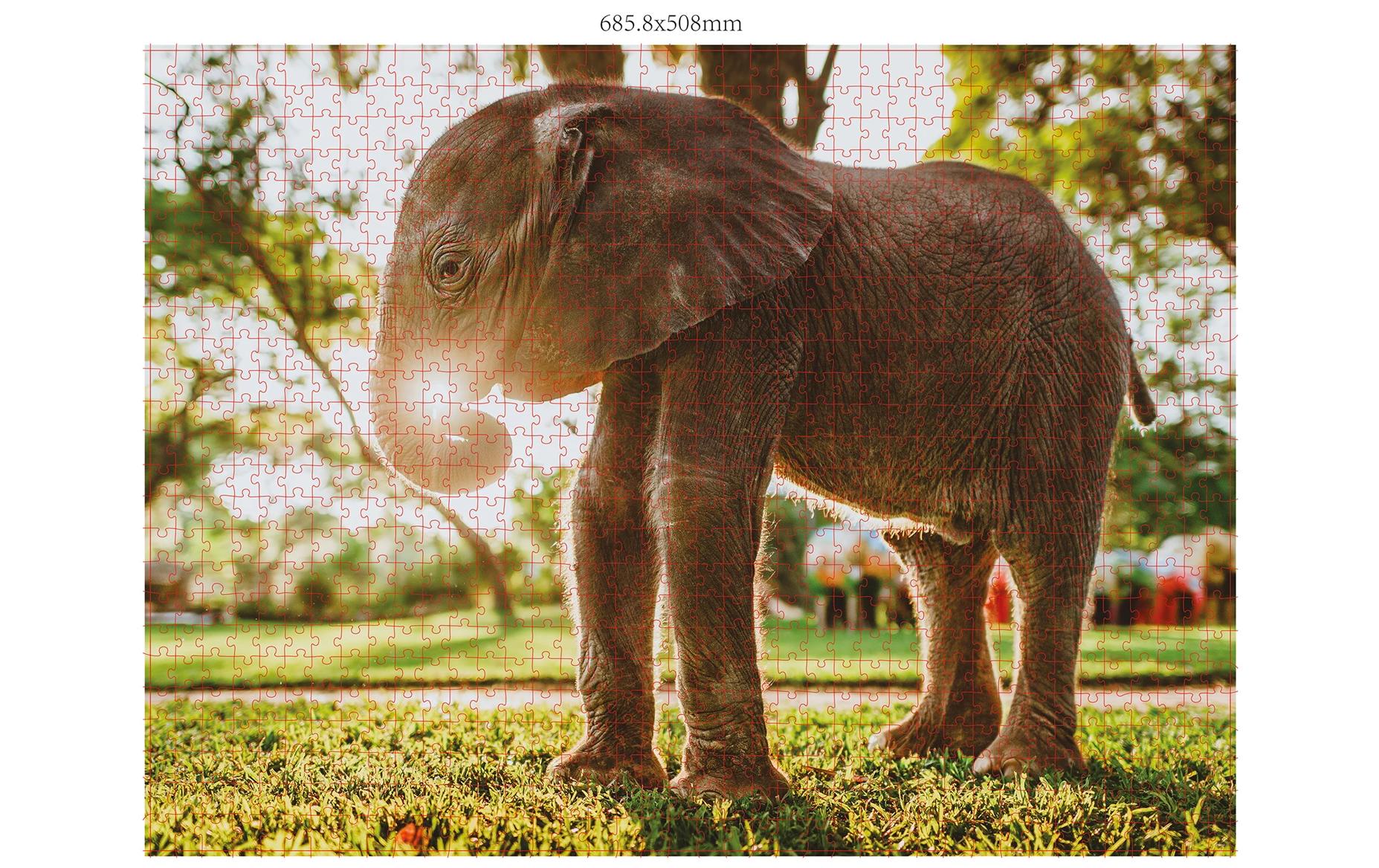 Puzzle Wildtiere AfrikaPuzzle-Set für Erwachsene und Kinder