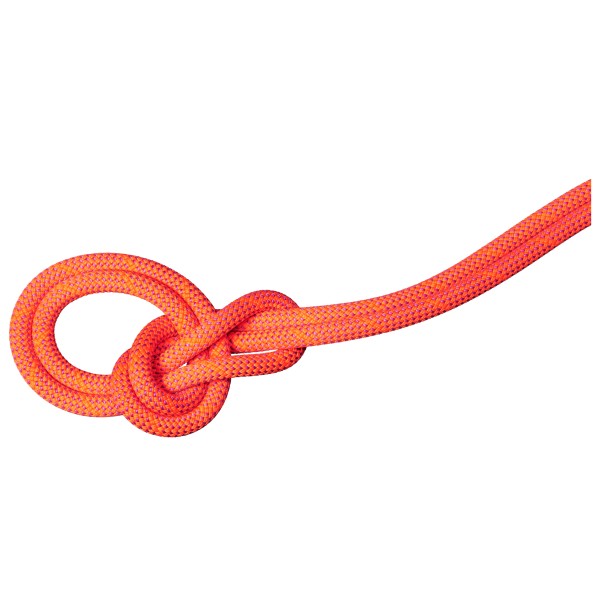 Mammut - 9.8 Crag Dry Rope - Corde à simple