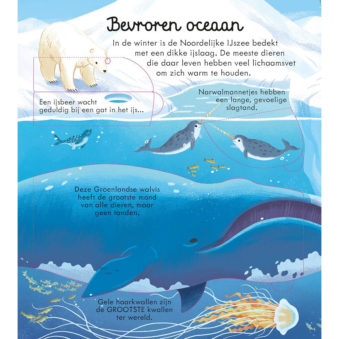 Usborne kijk binnen - zeeën en oceanen