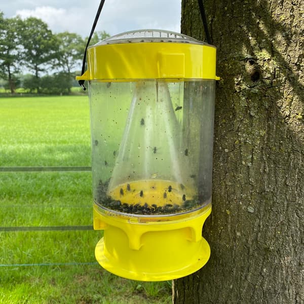 Knock Pest Fluefelle XL