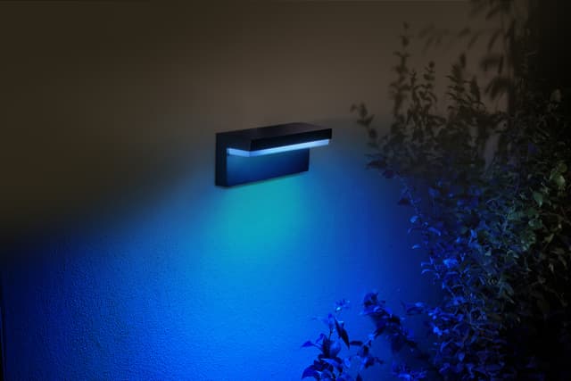 Philips Hue Nyro væglampe (sort)