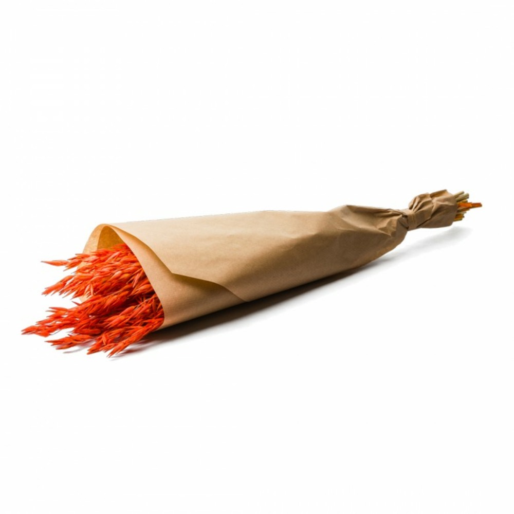 Botte de fleurs séchées avoine orange