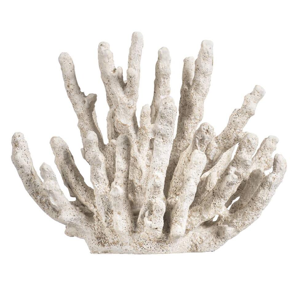 Decoratie Koraal - wit - polyresin - 14x18x11 cm