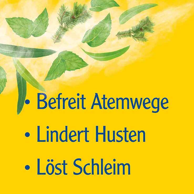 Pinimenthol® Erkältungssalbe Eucalyptusöl Kiefernnadelöl Menthol, 20 g