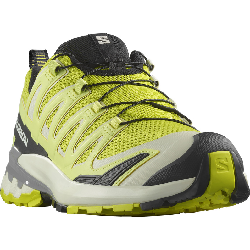 Salomon XA Pro 3D V9 Schuhe