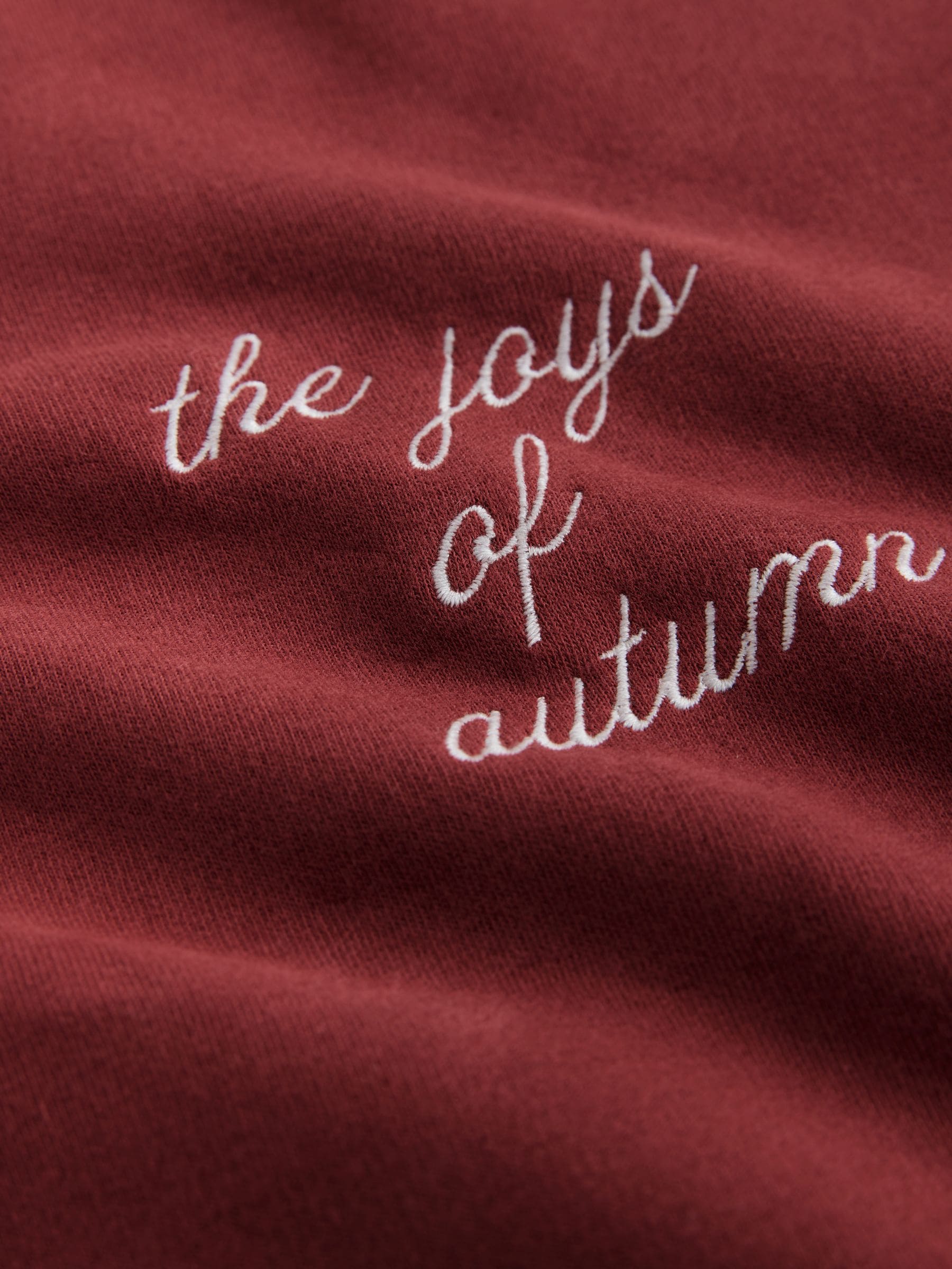 Bordeauxrood - Pumpkin Spice Graphic Embroidered Long Sleeve Sweatshirt