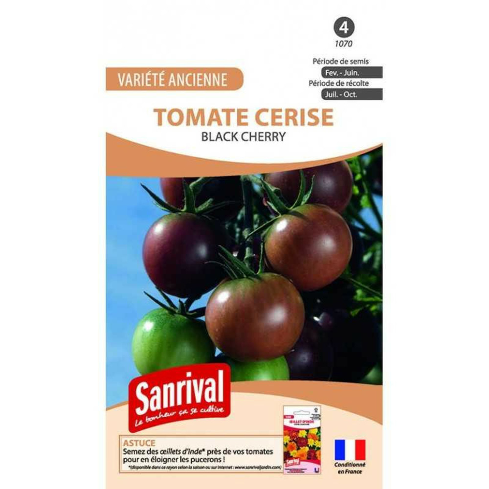 Graines tomate cerise noire black cherry