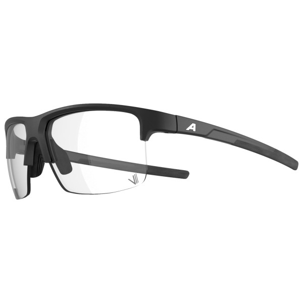 Alpina - Eagle V Photochromic S1-3 - Lunettes de soleil