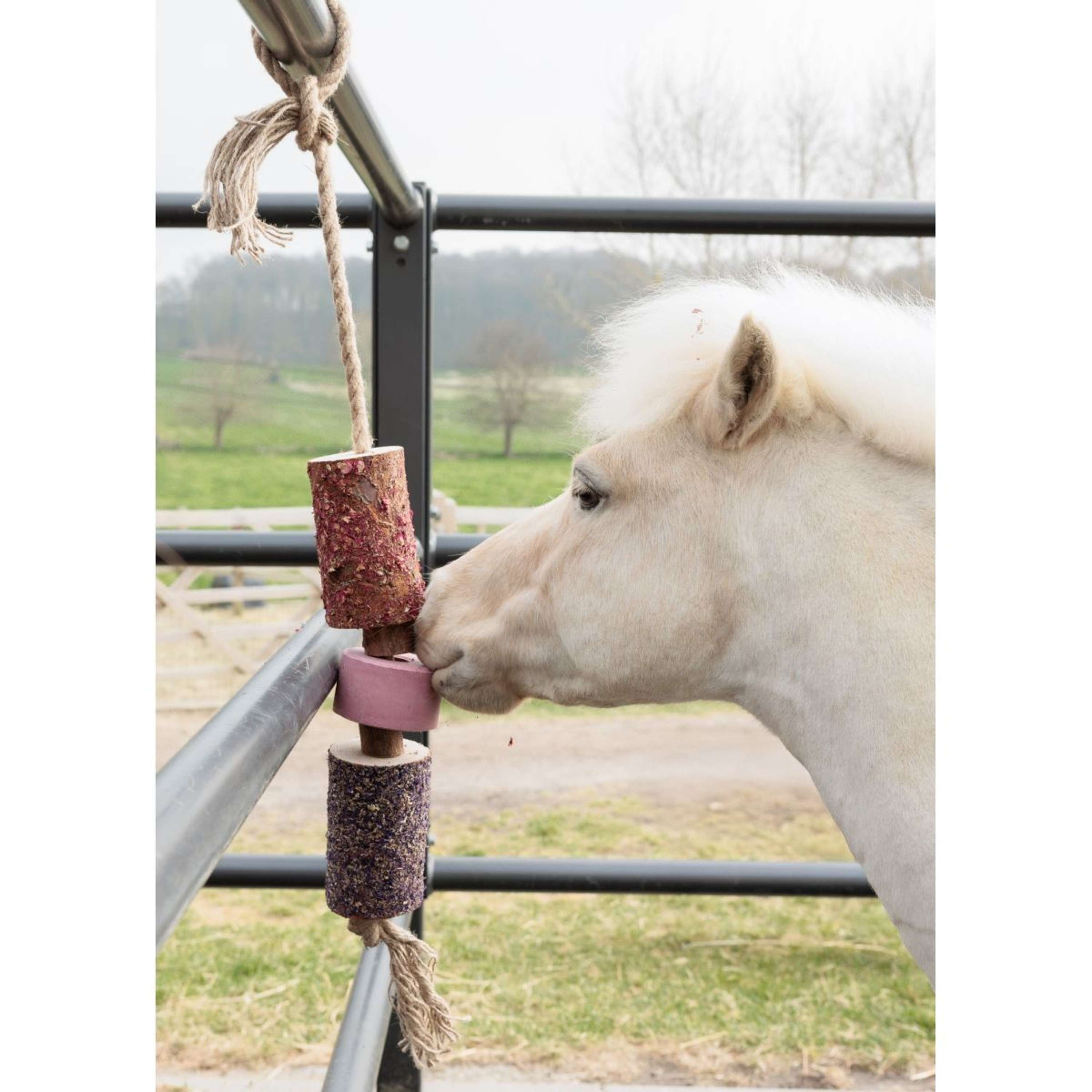 Grooming Deluxe by Kentucky Relax Horse Toy Wooden Sammy with Salt Lic