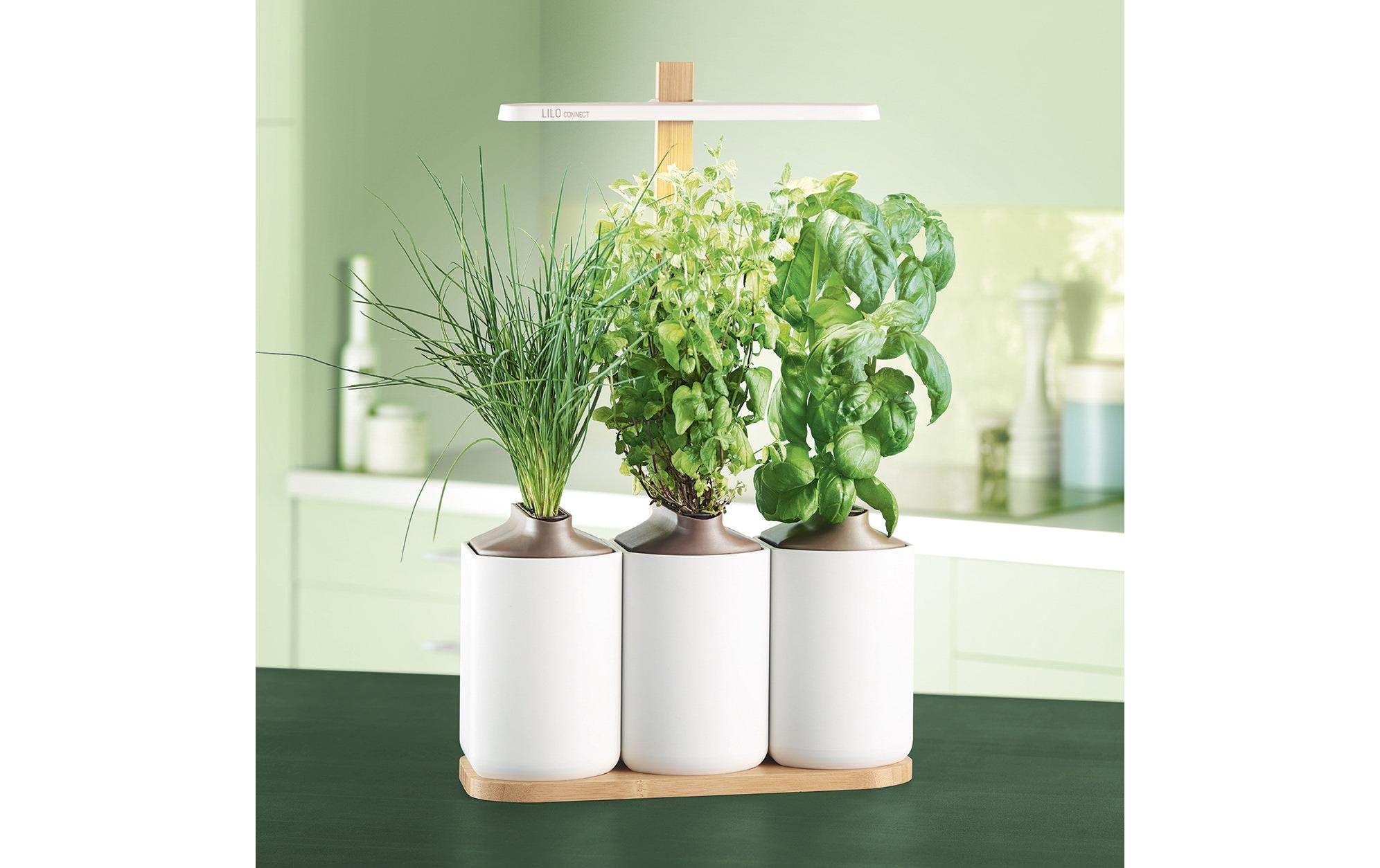 Kräutertopf Indoor Lilo Connect WeissDer smarte, kompakte und intuitive Indoor-Garten