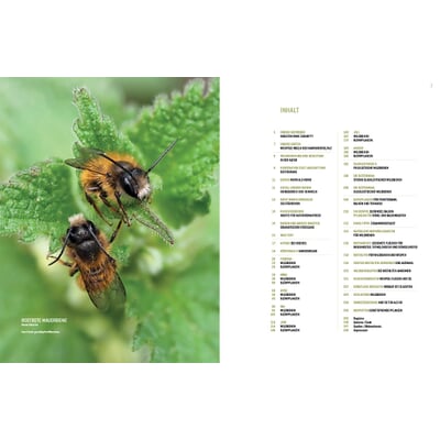 Wildbienenhelfer