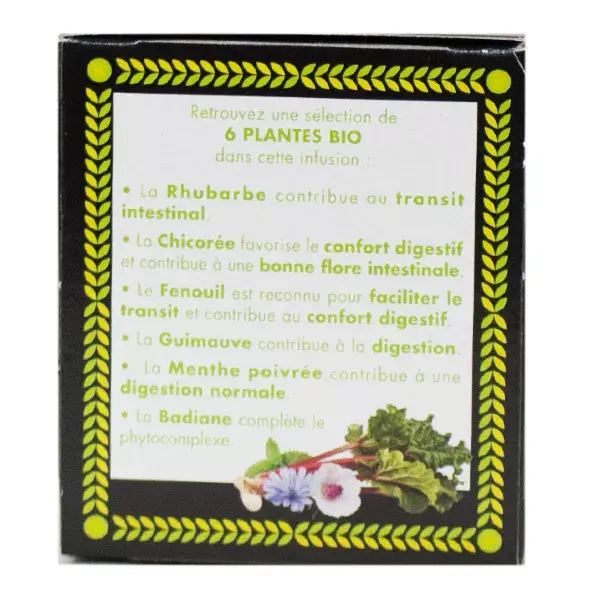 Herbesan Transiphyt Infusão Orgânica 20 sachês
