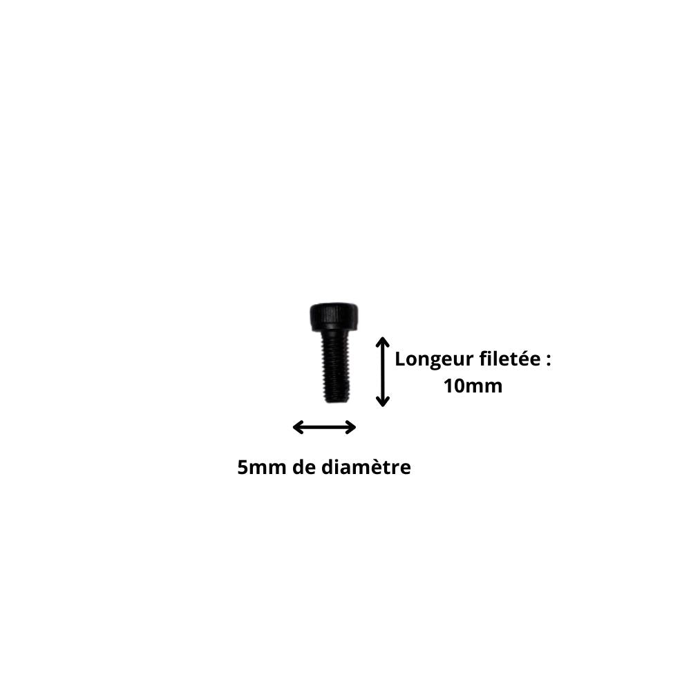 Vis M5x10 à Tête Cylindrique et Empreinte Allen (Pack de 10)