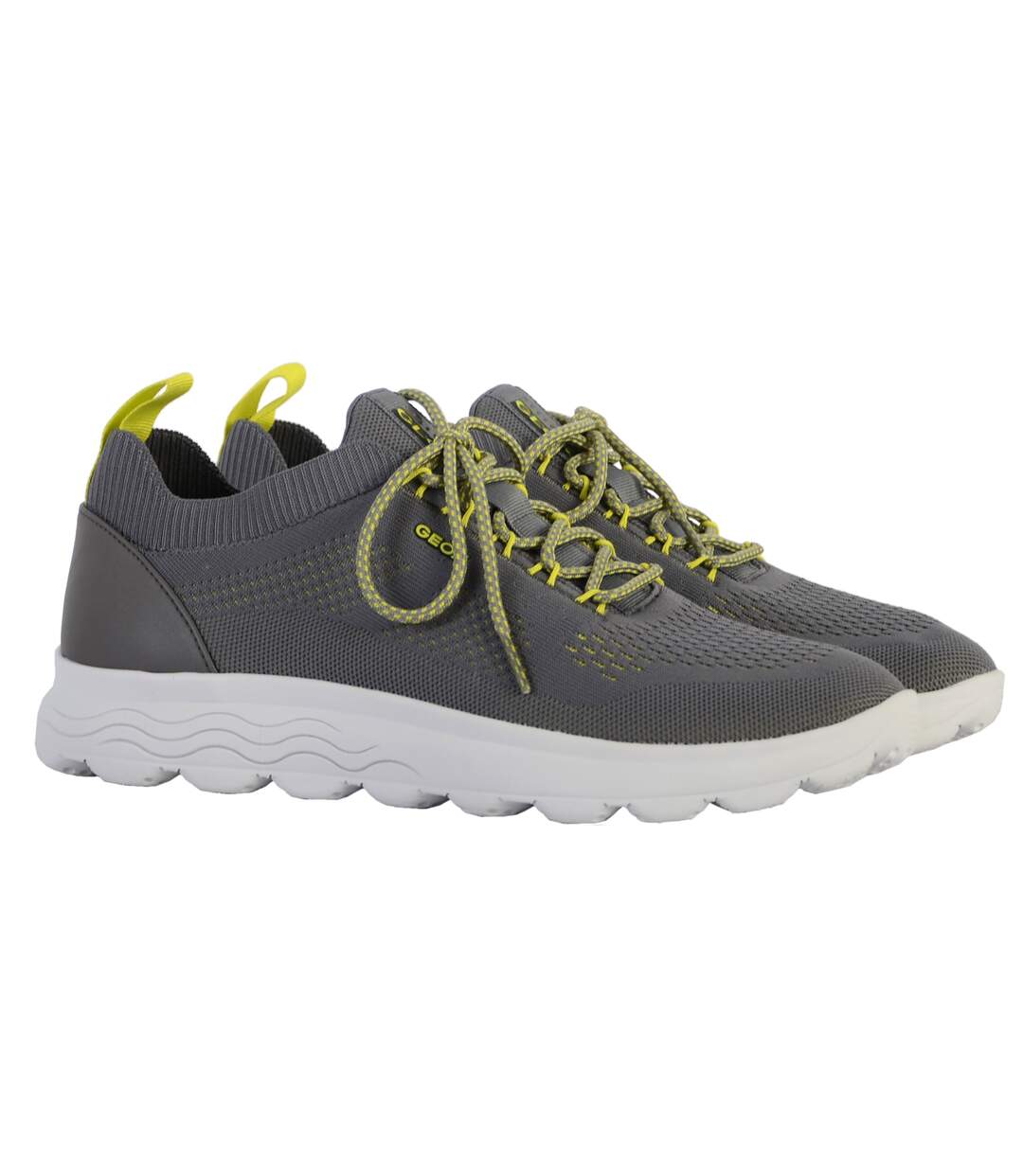Basket Geox Spherica Homme