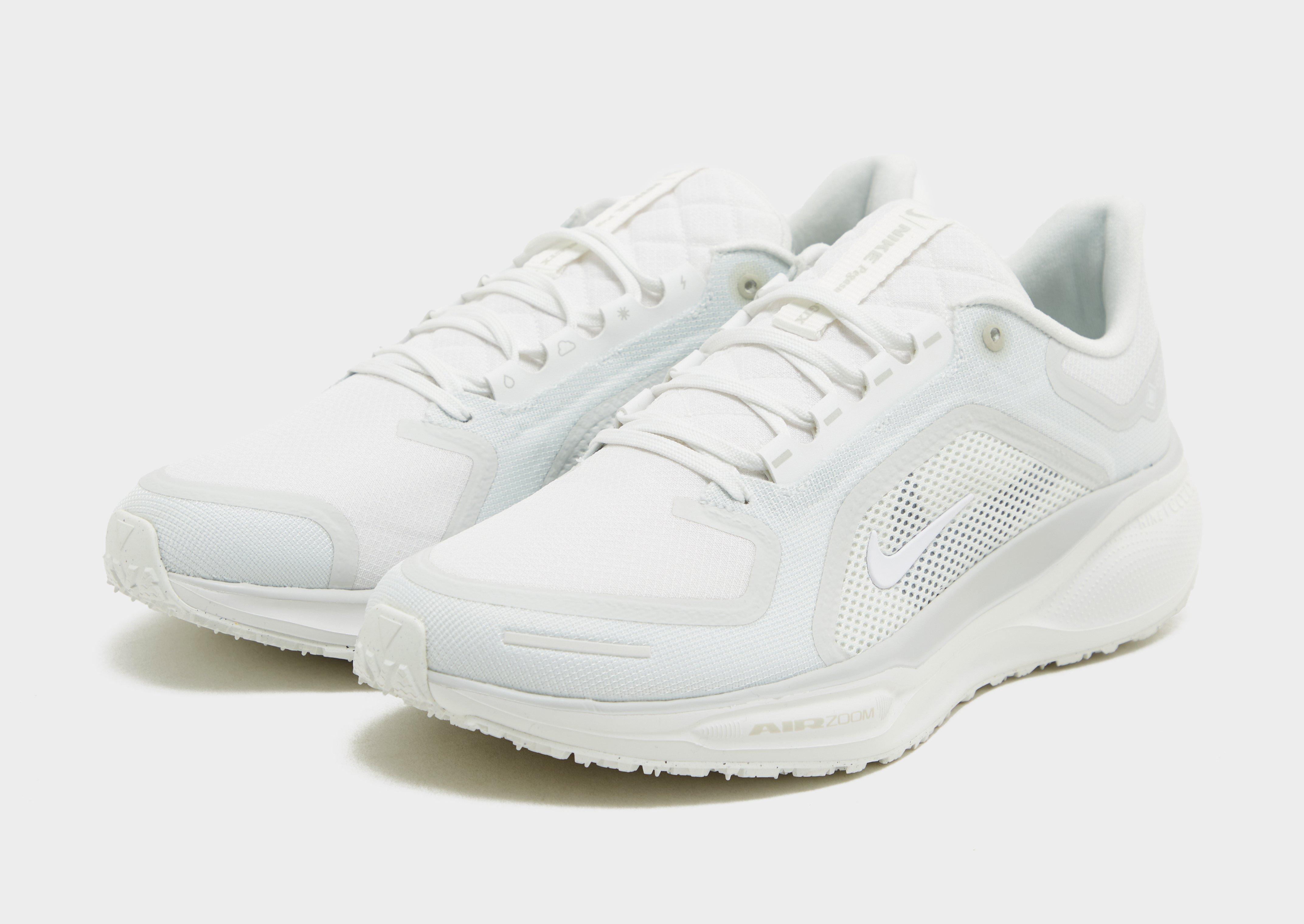 Nike Pegasus 41 GORE-TEX Homme