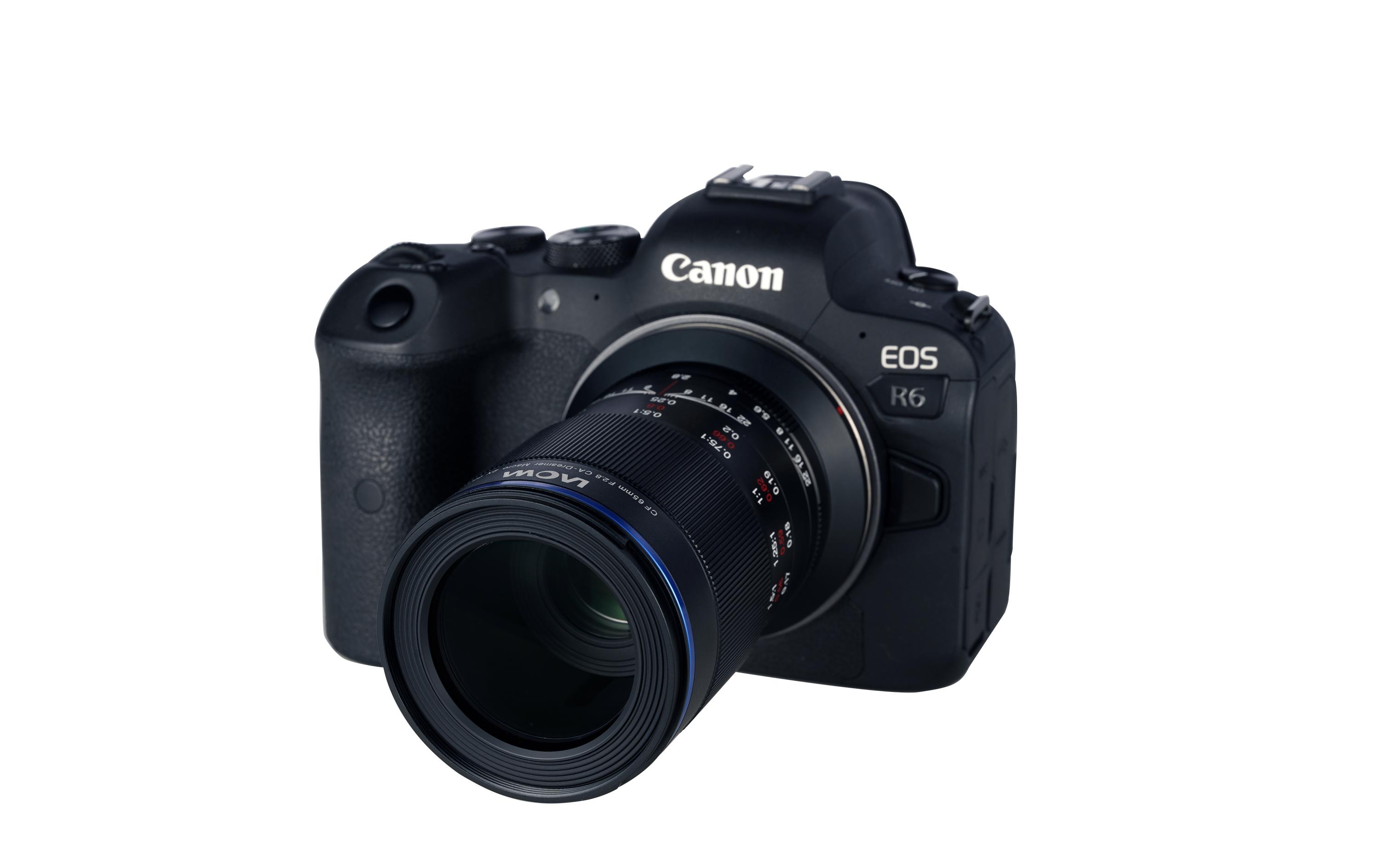 Festbrennweite 65 mm F/2.8 2x Ultra Macro APO – Canon RF<br>APS-C Makroobjektiv mit dem Vergrösserungsmassstab 2:1