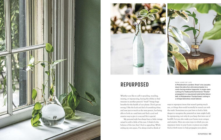 New Mags The Propagation Handbook