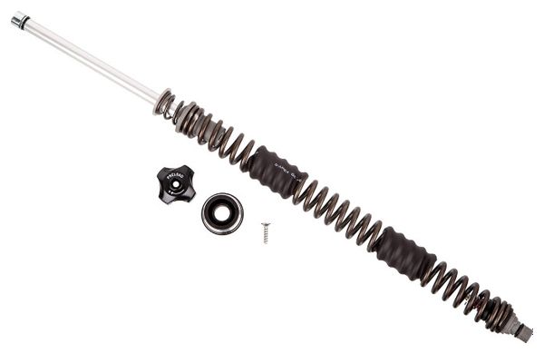 Ressort de Frouche Rockshox 30/XC 30 Silver 27.5'/29' 100 mm