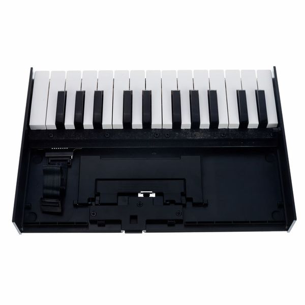 Roland Boutique K-25m Keyboard