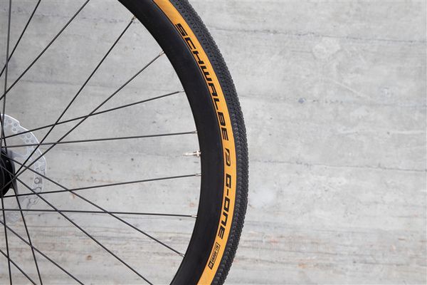 DAILY QUEST Pinion City- und Alltagsvelo  grün  48 CM